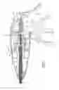 Fig. 06 - Forceps with a rotation assembly