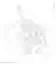 Fig. 05 - Fornix manipulator