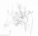 Fig. 08 - Fornix manipulator