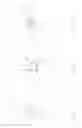 Fig. 19 - Fornix manipulator
