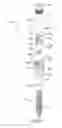 Fig. 05 - Polyaxial pedicle screw