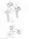 Fig. 07 - Spinal stabilization system and method