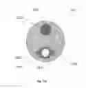 Fig. 12 - CRYO-THERAPY SPRAY DEVICE
