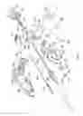 Fig. 04 - Electrosurgical device
