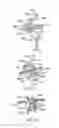 Fig. 22 - Electrosurgical device