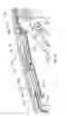 Fig. 20 - ELECTROSURGICAL DEVICE