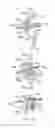 Fig. 22 - ELECTROSURGICAL DEVICE