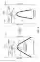 Fig. 06 - IMPLANTABLE DEVICES CAPABLE OF SELECTIVE DEGRADATION
