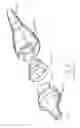Fig. 12 - Urological device having a bladder retainer and a valve
