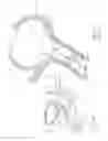 Fig. 28 - Urological device having a bladder retainer and a valve