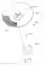 Fig. 38 - Urological device having a bladder retainer and a valve