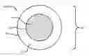Fig. 01 - Wide depth of focus vortex intraocular lenses and associated methods