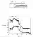 Fig. 08 - DEVICES AND METHODS FOR CONTROL OF BLOOD PRESSURE