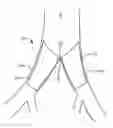 Fig. 01 - Systems and methods for deploying a luminal prosthesis over a carina