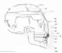 Fig. 01 - System and method for sensor driven intelligent oral appliance