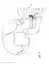 Fig. 05 - System and method for sensor driven intelligent oral appliance