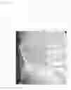 Fig. 10 - Method for manufacturing underpants-type disposable diaper, and underpants-type disposable diaper