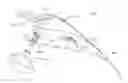 Fig. 01 - Pulmonary expansion therapy (PXT) devices