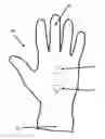 Fig. 01 - EMERGENCY MEDICAL GLOVES