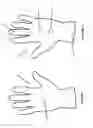 Fig. 02 - EMERGENCY MEDICAL GLOVES
