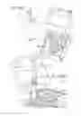 Fig. 46 - Medical fluid transfer and injection apparatus and method