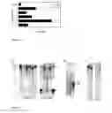 Fig. 02 - Kit and method for detecting porous dental hydroxyapatite