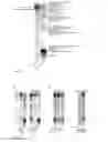 Fig. 03 - Kit and method for detecting porous dental hydroxyapatite