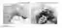 Fig. 17 - Kit and method for detecting porous dental hydroxyapatite