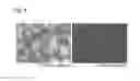 Fig. 04 - COSMETIC COMPOSITION CONTAINING AMPHIPHILIC ANISOTROPIC POWDER AND METHOD FOR PREPARING SAME