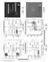 Fig. 08 - CORE-SHELL PARTICLE FORMULATION FOR DELIVERING MULTIPLE THERAPEUTIC AGENTS