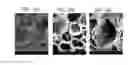 Fig. 34 - Biochars for use with animals