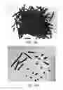 Fig. 40 - Biochars for use with animals