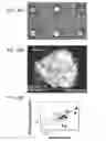 Fig. 41 - Hydrogel compositions comprising encapsulated cells and methods of use thereof