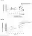Fig. 14 - Continuous Administration of Levodopa and/or Dopa Decarboxylase Inhibitors and Compositions for Same