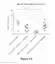 Fig. 11 - Treatment for tumors driven by metabolic dysfunction