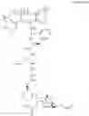 Fig. 212 - Treatment for tumors driven by metabolic dysfunction