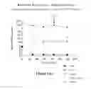 Fig. 30 - Treatment for tumors driven by metabolic dysfunction