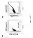 Fig. 07 - NEURODEGENERATIVE DISEASES AND METHODS OF MODELING