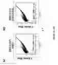 Fig. 08 - NEURODEGENERATIVE DISEASES AND METHODS OF MODELING