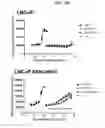 Fig. 02 - METHODS AND COMPOSITIONS FOR DETERMINING RESISTANCE TO ANDROGEN RECEPTOR THERAPY