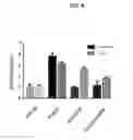 Fig. 13 - METHODS AND COMPOSITIONS FOR DETERMINING RESISTANCE TO ANDROGEN RECEPTOR THERAPY