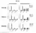 Fig. 14 - METHODS AND COMPOSITIONS FOR DETERMINING RESISTANCE TO ANDROGEN RECEPTOR THERAPY