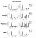 Fig. 15 - METHODS AND COMPOSITIONS FOR DETERMINING RESISTANCE TO ANDROGEN RECEPTOR THERAPY