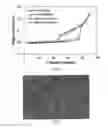 Fig. 04 - (2R,4R)-5-(5′-Chloro-2′-fluorobiphenyl-4-yl)-2-hydroxy-4-[(5-methyloxazole-2-carbonyl)amino]pentanoic acid