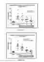 Fig. 05 - Methods of treating autoimmune, respiratory and inflammatory disorders by inhalation of roflumilast N-oxide