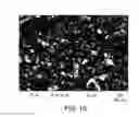 Fig. 11 - Formulations of 2-(4-chlorophenyl)-N-((2-(2,6-dioxopiperidin-3-yl)-1-oxoisoindolin-5-yl)methyl)-2,2-difluoroacetamide