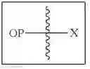 Fig. 02 - Alpha-hydroxy carboxylic acid and derivatives and other GRAS-based prodrugs of opioids and uses thereof