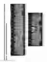Fig. 06 - Pharmaceutical compositions comprising sorbitan esters
