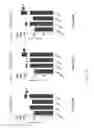 Fig. 05 - Unit dose of a cis-imidazoline for treating an osteoarthritic joint by removing senescent cells
