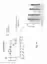 Fig. 33 - Unit dose of a cis-imidazoline for treating an osteoarthritic joint by removing senescent cells